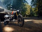 Triumph Scrambler 1200 XE Gold LINE Edition